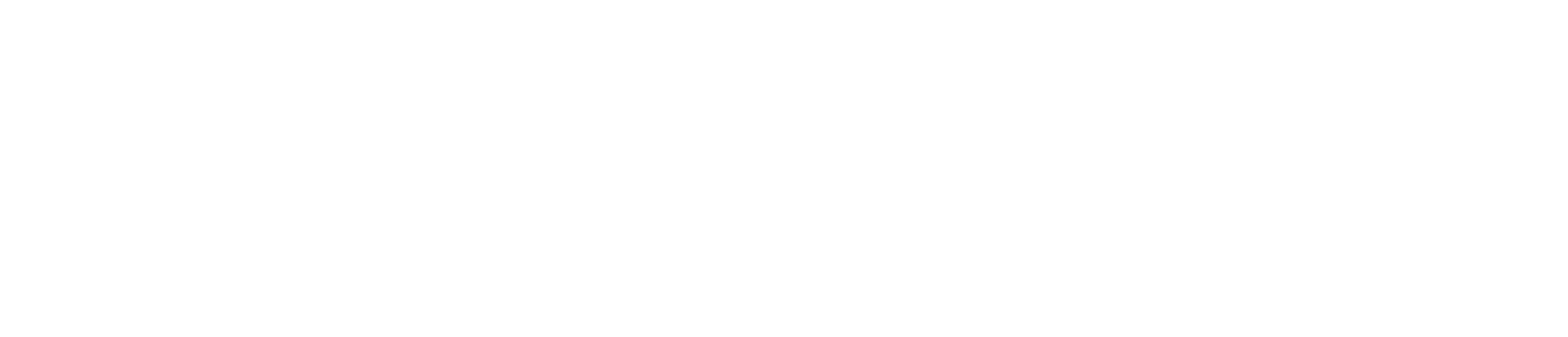 The Fox Web Studio | Custom WordPress Websites